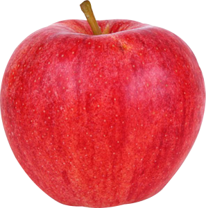 Apple A is A Objective Philosophy image